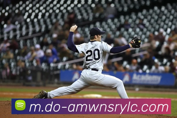 威尼斯人娱乐官网平台生态图